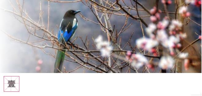 三生三世，三十里桃花！