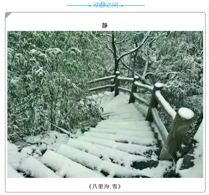 四季美景谁与度？锦绣山河南太行！