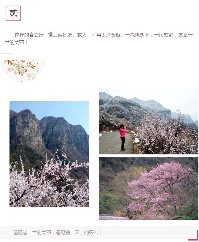 三生三世，三十里桃花！