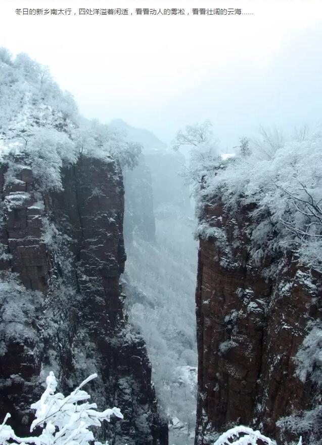 【大年初二】除了回娘家，还有更好的团圆方式！