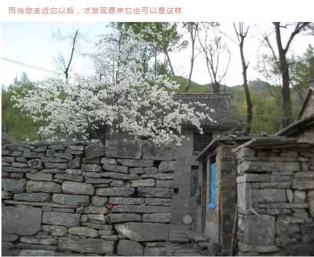 我要去新乡南太行做“SPA”