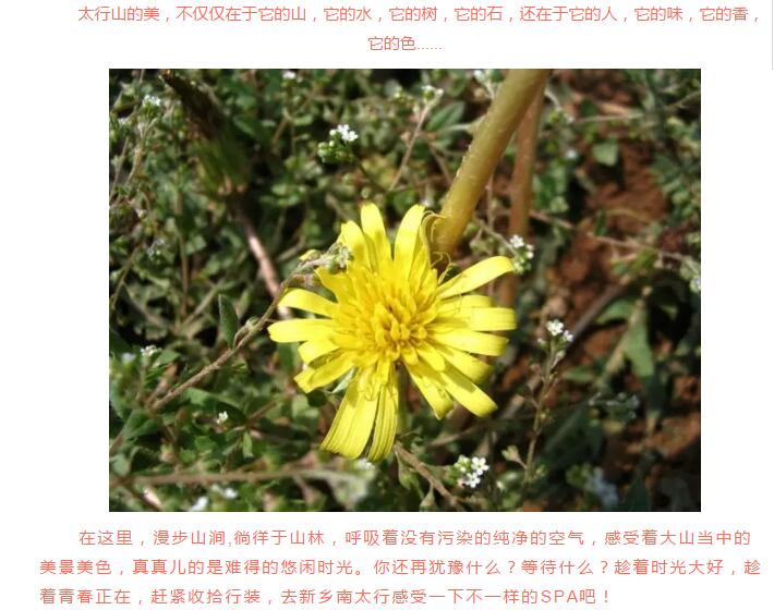 我要去新乡南太行做“SPA”