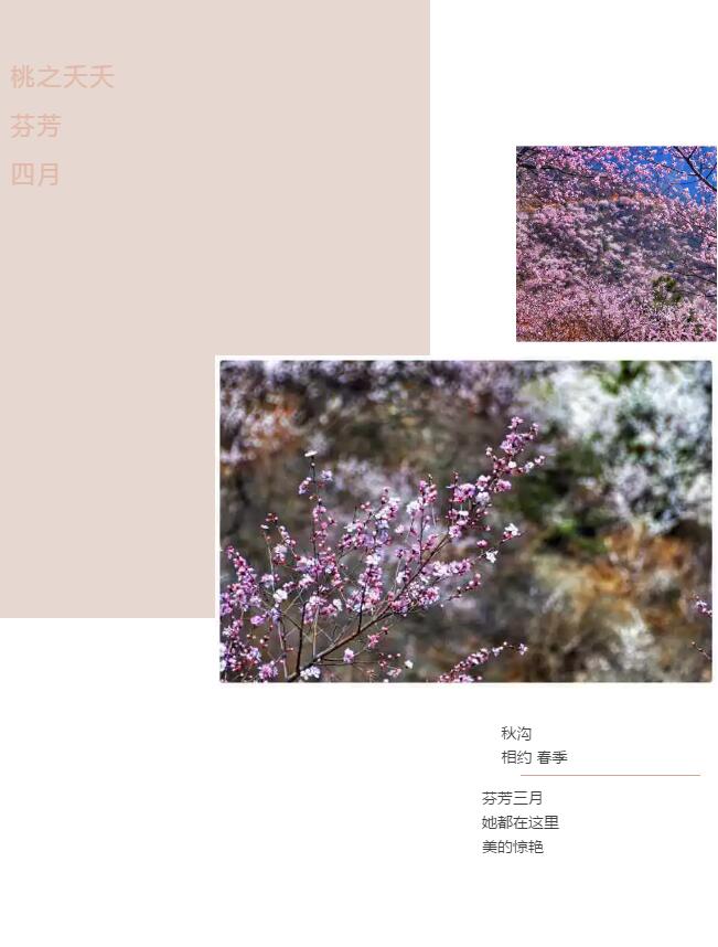 世界上有两个桃花源，一个在秋沟，一个在你心里……