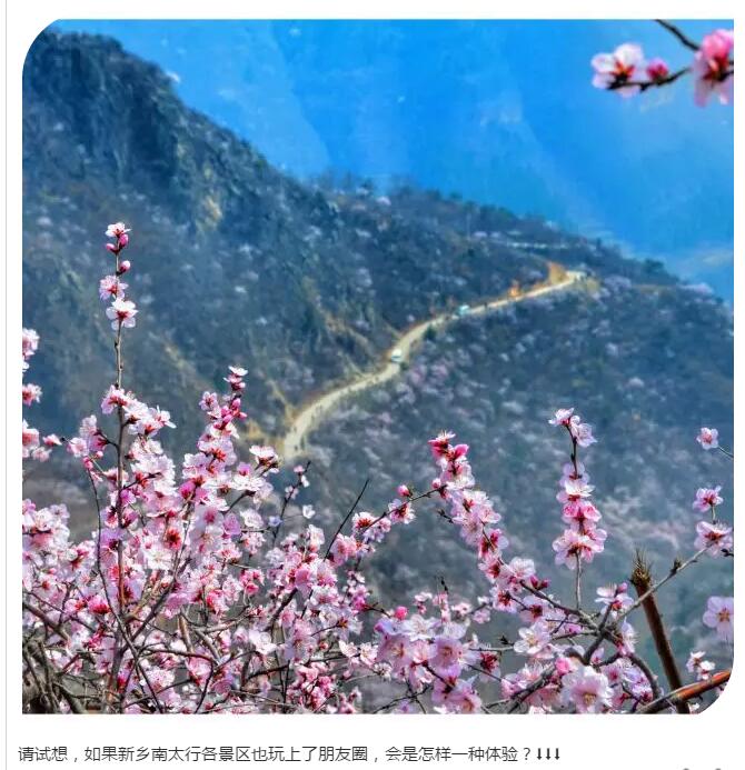 即将刷爆朋友圈的不只是“三生三世”，还有这里的“十里桃花”……