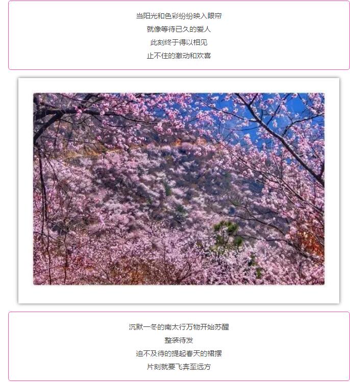 十里桃花如仙境，所有女士免门票，速领！速领！速领！