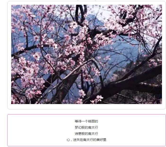 十里桃花如仙境，所有女士免门票，速领！速领！速领！