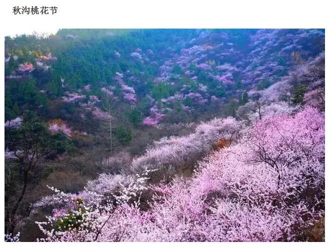 新乡周边竟然也能看到十里桃花! 美如仙境, 还能免门票!