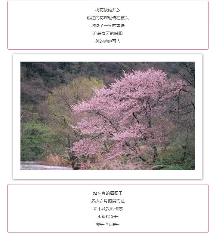 十里桃花如仙境，所有女士免门票，速领！速领！速领！