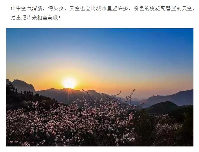 新乡周边竟然也能看到十里桃花! 美如仙境, 还能免门票!