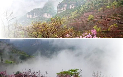 春天最美看桃花