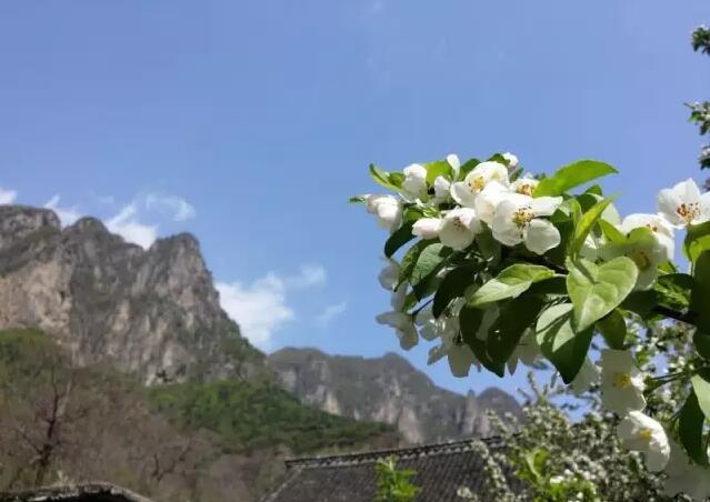 重要通知：2月18日齐王寨景区开园啦！