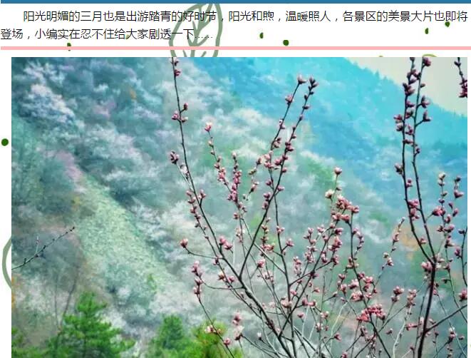 南太行年卡送福利，全家免费任性游！