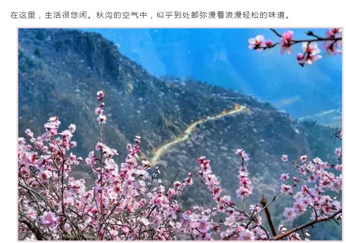 春分到，我们是时候去踏青啦