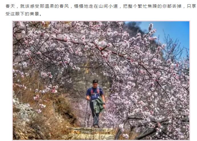 春分到，我们是时候去踏青啦