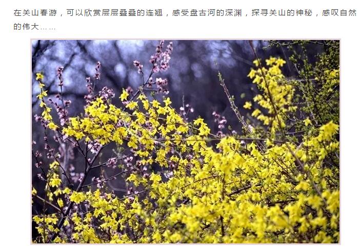 春分到，我们是时候去踏青啦