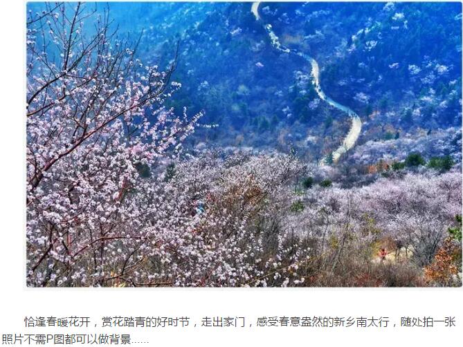 春暖花开，这里的每一张照片都可以做屏保！