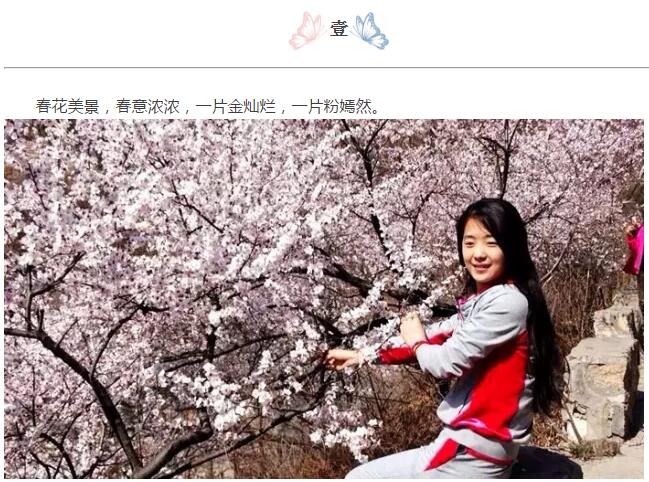 3月底这里已经花开成海！别拦我，我要去了！