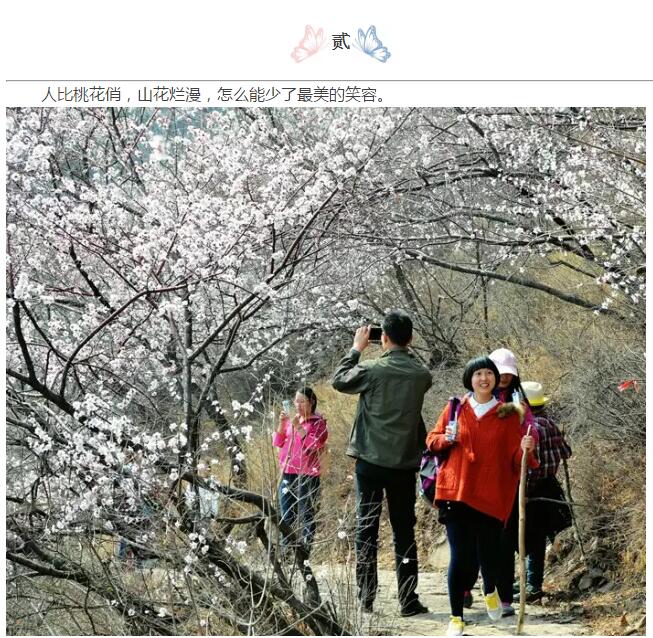 3月底这里已经花开成海！别拦我，我要去了！