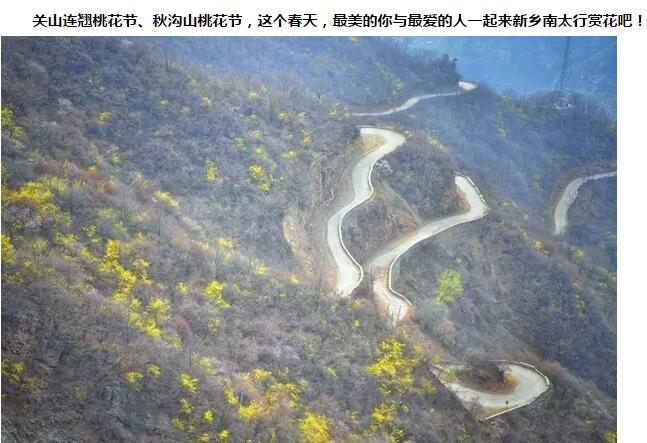 3月底这里已经花开成海！别拦我，我要去了！