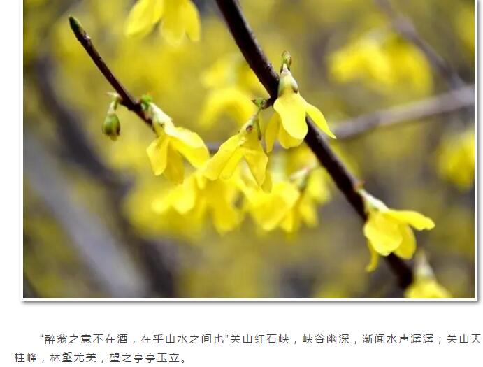 周末，约关山，不醉不归