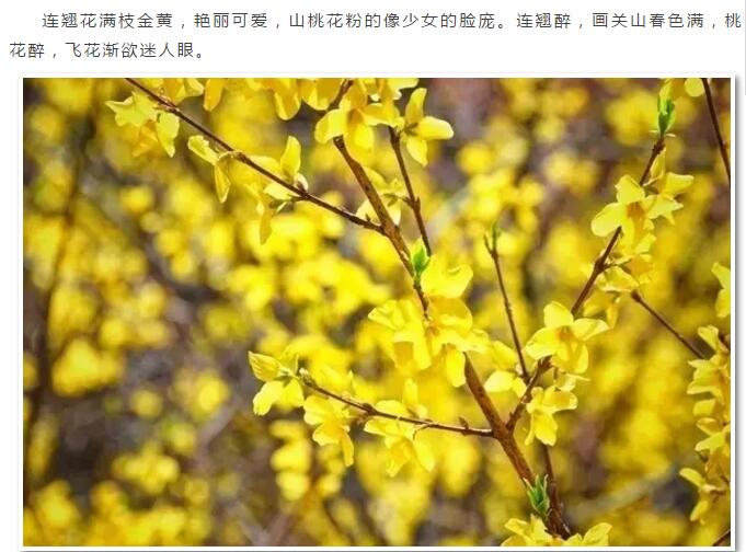 周末，约关山，不醉不归