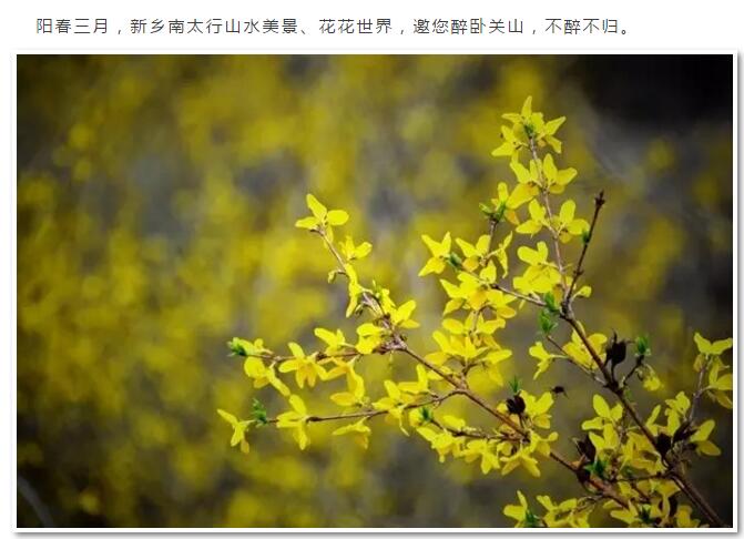 周末，约关山，不醉不归