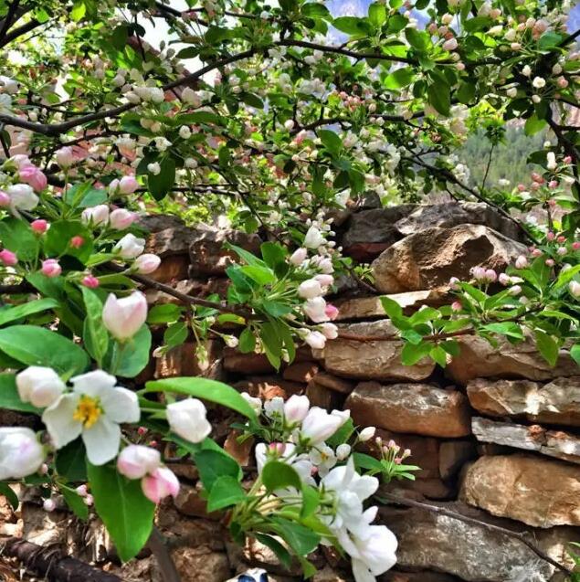 您有一封登山徒步邀请函，请注意查收！