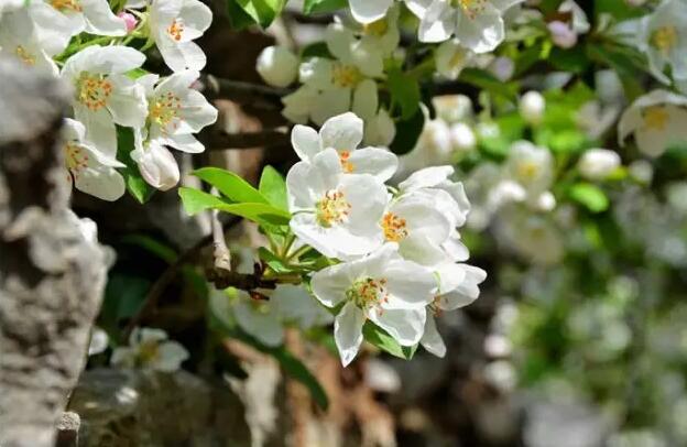您有一封登山徒步邀请函，请注意查收！