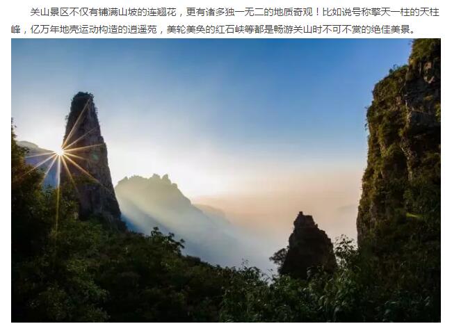 春潮花海醉关山，万亩连翘迎春开。