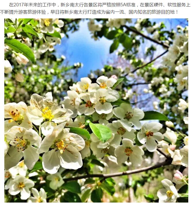 新乡南太行｜开展系统培训，提升旅游服务质量