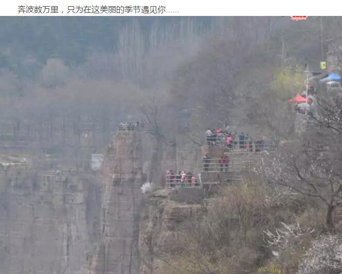 数万游客集聚而来 只为一睹你的风采