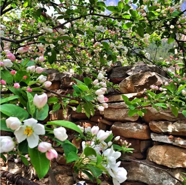 万人齐聚八里沟，共享全民徒步盛事！