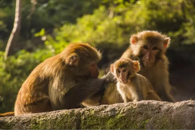 关山——观山观水观天下