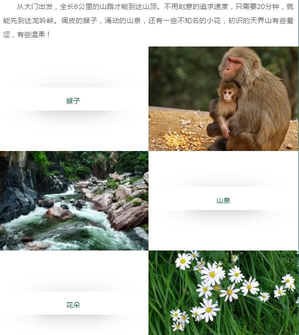 不用繁华装饰，只用自然赢得掌声！