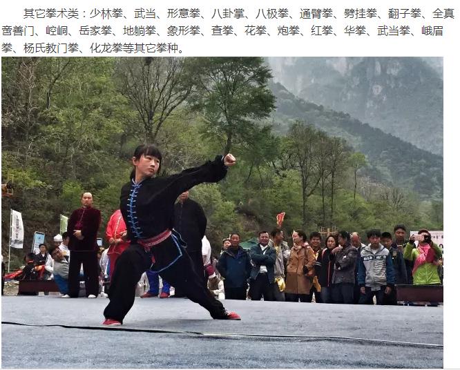 武林雄风起，论剑南太行！