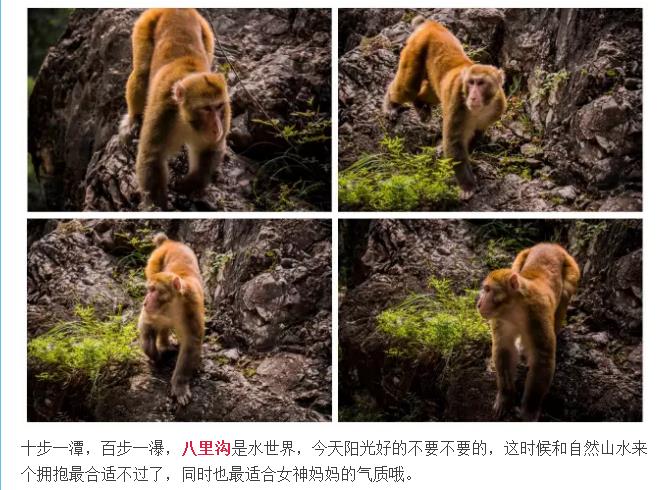 母亲节，带着美妈去旅游！