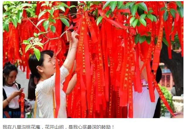 感恩六月，把所有的祝福运气送给考试的你们！