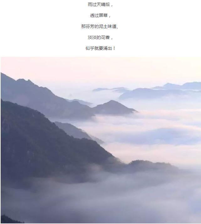 今年首套绝美壁纸，你值得拥有！