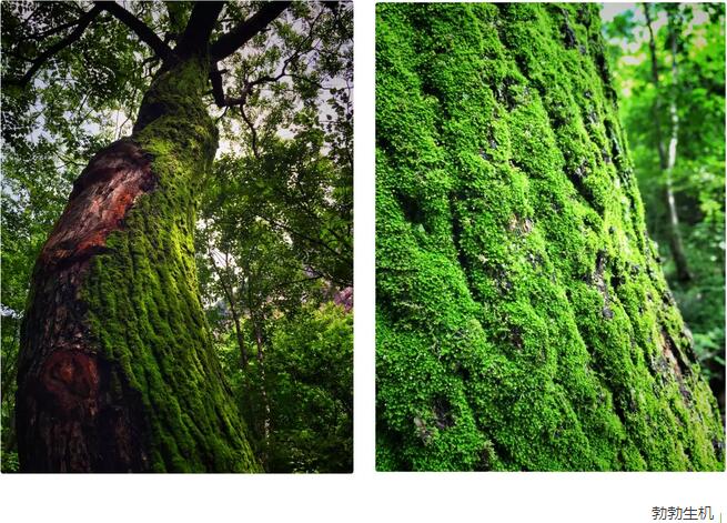 今年首套绝美壁纸，你值得拥有！