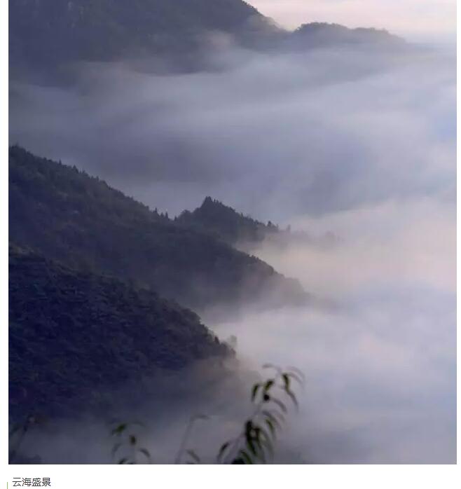 今年首套绝美壁纸，你值得拥有！