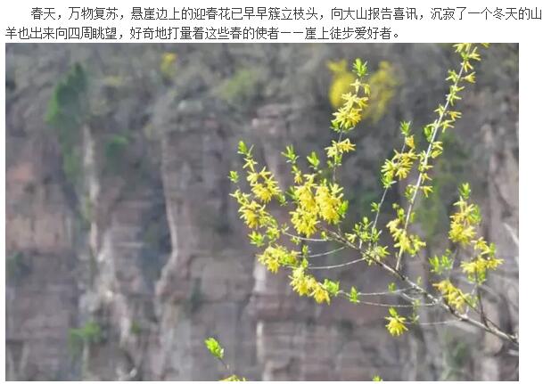 这样的国际登山健身步道你见过吗？