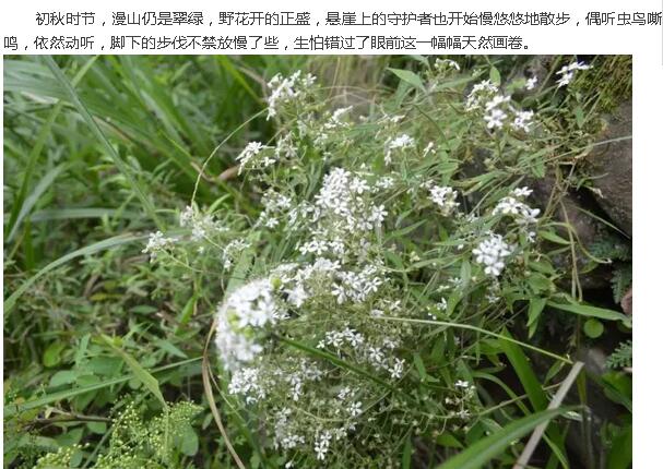 这样的国际登山健身步道你见过吗？