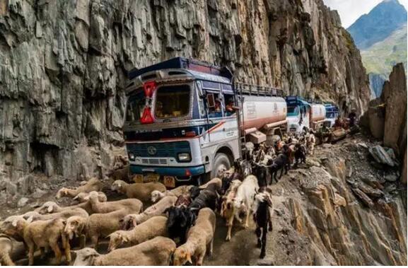 不远万里，德国人来这里拍什么？