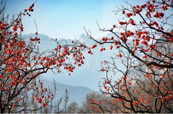 秋分至！南太行里天凉好个秋！