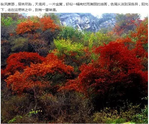 秋分至！南太行里天凉好个秋！