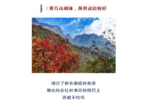 初冬正确的打开方式！