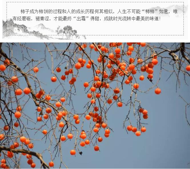 “缘”来“柿”你在这里！