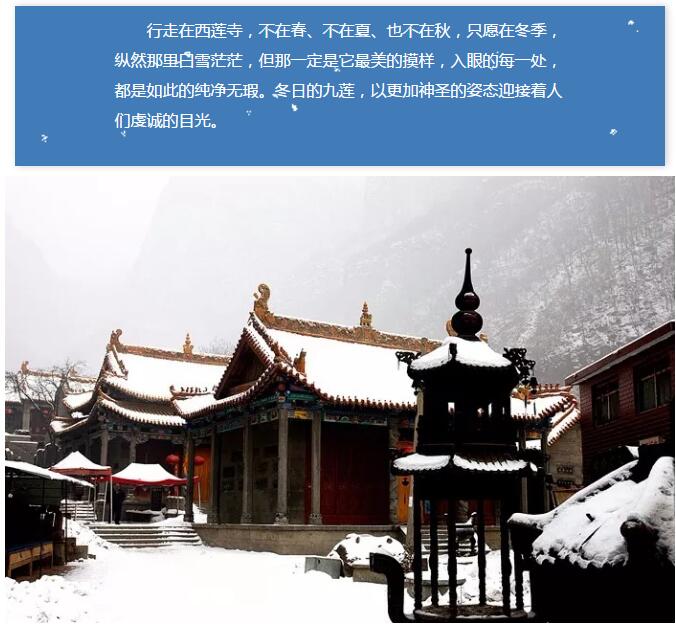 雪花飞舞，谁雕玉树琼枝？
