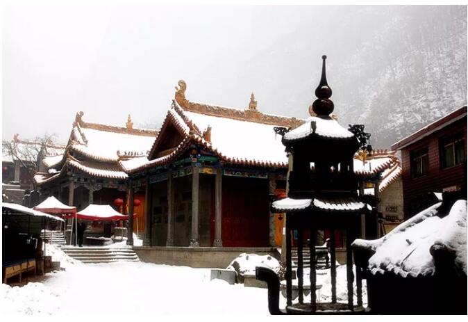 来西莲开启新一年的祈福之旅吧！