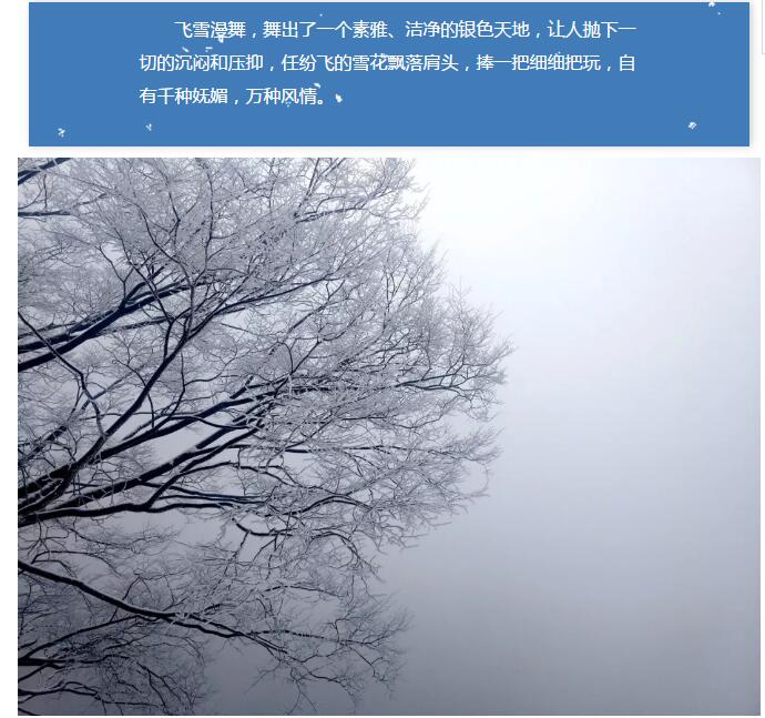 雪花飞舞，谁雕玉树琼枝？